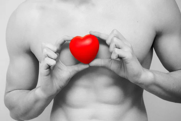 Hält ein rotes Herz an einen nackten männlichen Oberkörper — Stockfoto