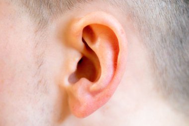 Sol kulak yakın çekim