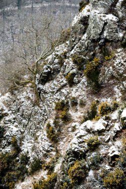 Dartmoor Birleşik Krallık sırasında Beast From Doğu 2018