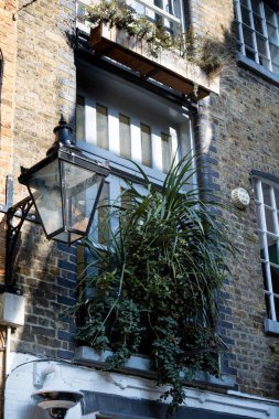 Binalarda, Neal's Yard alan Covent Garden