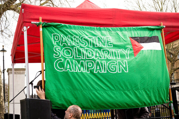 Протестующие в центре Лондона возле Даунинг-стрит
