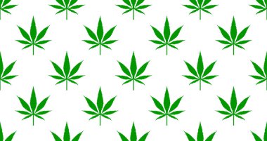 Yeşil marihuana yapraklı kusursuz desen, esrarlı arka plan. Vektör illüstrasyonu