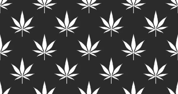 Patrón Blanco Negro Sin Costuras Con Hojas Marihuana Fondo Con — Archivo Imágenes Vectoriales