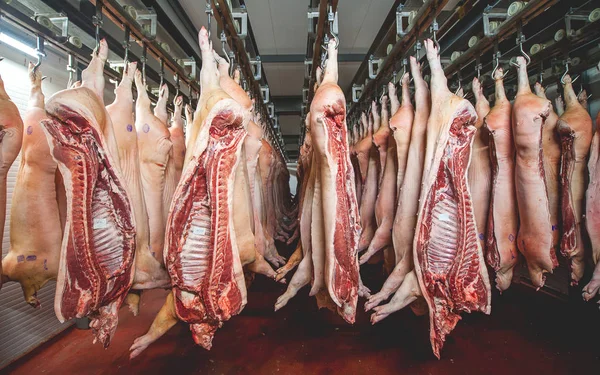 Stored cold meat — Stock Photo, Image