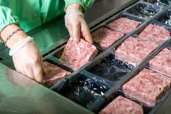 Produzione di carne cruda — Foto Stock