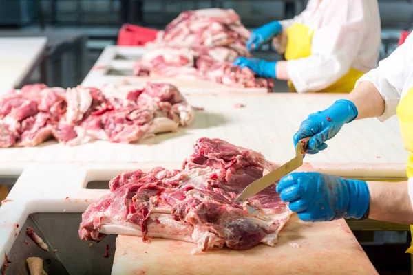 In een fabriek van vlees — Stockfoto