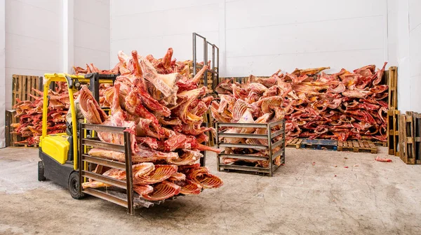 Mrożone mięso w pamięci masowej — Zdjęcie stockowe