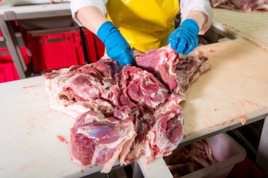 bir et fabrikasında