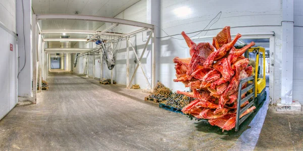 Carne congelada en un almacén — Foto de Stock