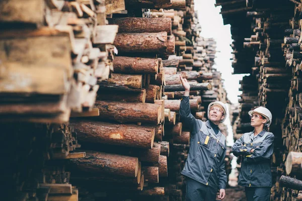 Depozitarea lucrătorilor din lemn — Fotografie, imagine de stoc