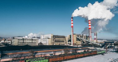 Güç istasyonu bitki