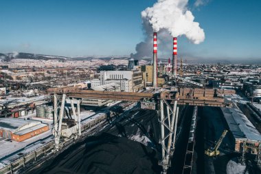 Güç istasyonu bitki