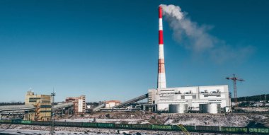 Güç istasyonu bitki