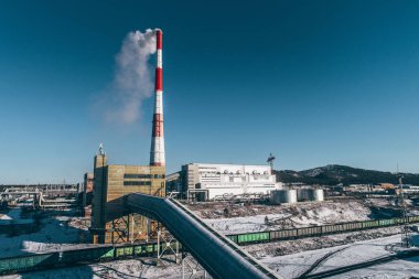 Güç istasyonu bitki