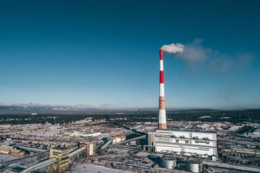 Güç istasyonu bitki