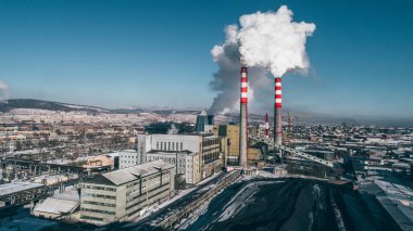 Güç istasyonu bitki