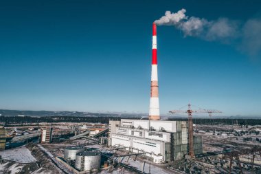 Güç istasyonu bitki