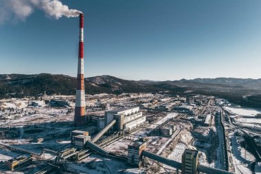 Güç istasyonu bitki