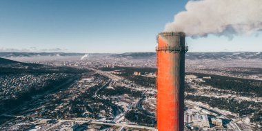 Güç istasyonu bitki