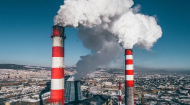 Güç istasyonu bitki