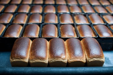 Ekmek yapım fabrika