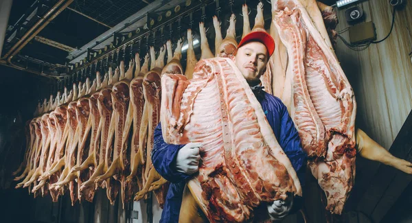 Porco picado numa fábrica — Fotografia de Stock