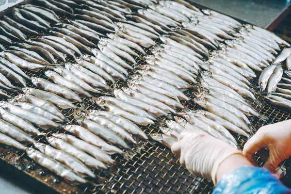 Pescados y mariscos —  Fotos de Stock