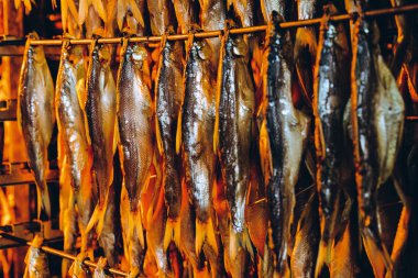 balık deniz ürünleri fabrikası