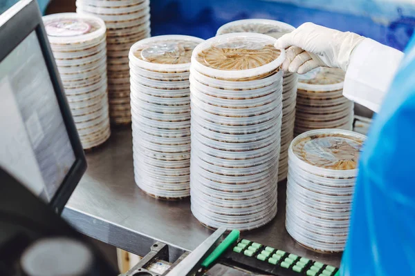 Fish seafood factory — Stock Photo, Image