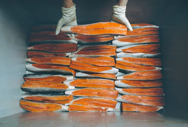 Balık deniz ürünleri fabrikası — Stok fotoğraf