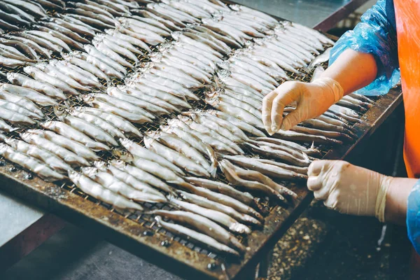 Pescados y mariscos —  Fotos de Stock