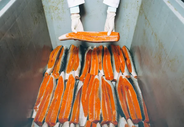 Fisk skaldjur fabrik — Stockfoto