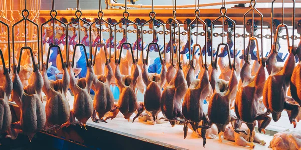 Línea de fábrica de pollo ave colgar industria avícola —  Fotos de Stock