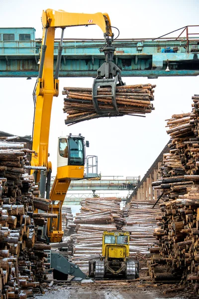 Vedlyft kran fabrik skära stockförvaringsträd — Stockfoto
