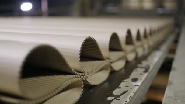 Kartonnen proces maken fabriek molen papier karton — Stockvideo