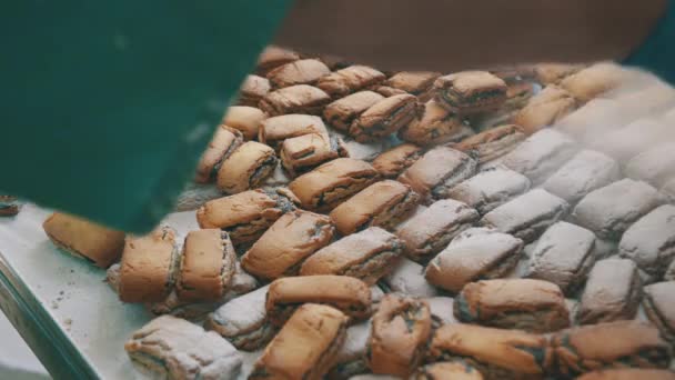Výroba sušenek zpracovatelský průmysl těsto tovární dopravník — Stock video