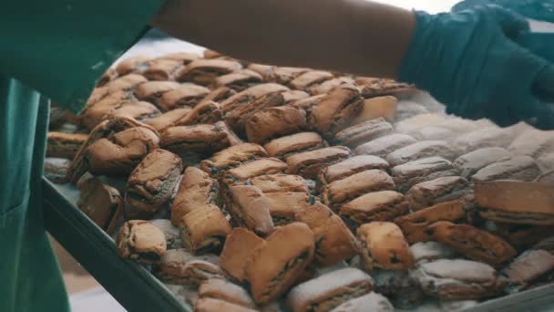 Proceso de fabricación de galletas industria de la masa transportador de fábrica — Vídeos de Stock