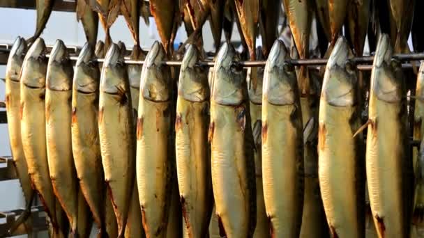 Vis hangen gerookte fabriek rack rij voorbereid — Stockvideo