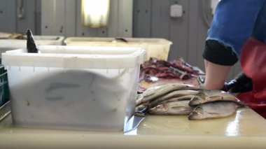 balık kesim fabrika el işçiliği