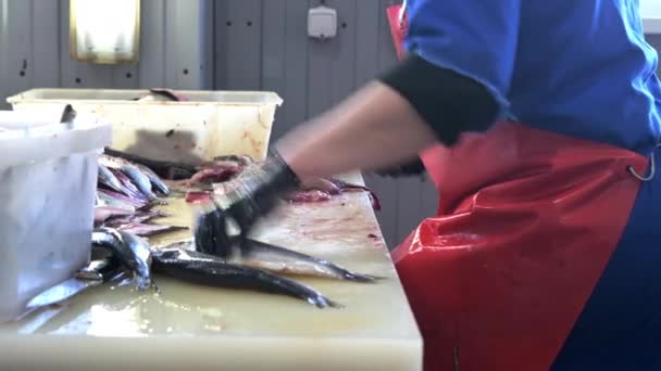 Peixe esculpir corte fábrica peça mão trabalhador — Vídeo de Stock
