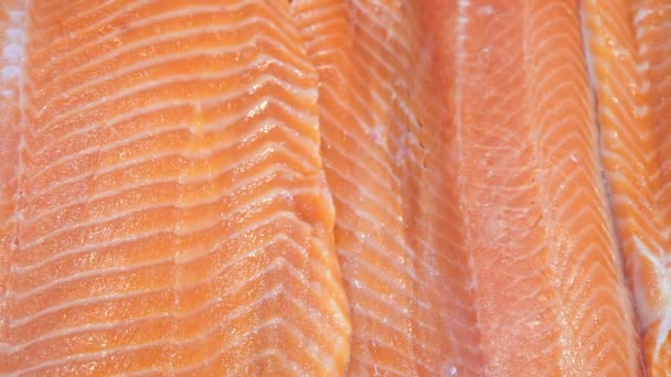 Roter Fisch Filet frische Meeresfrüchte Textur Produkt — Stockvideo
