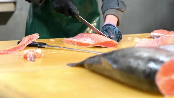 Fábrica de filé de peixe esculpir fatia de salmão vermelho — Vídeo de Stock