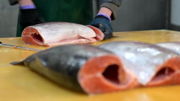 Pescado filete fábrica tallar rebanada salmón rojo — Vídeo de stock