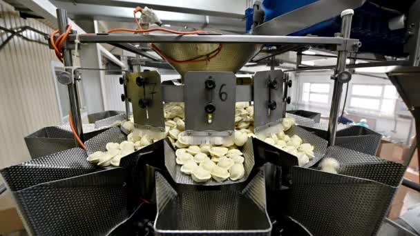 Knedlíková továrna výrobní proces moderní průmysl pelmeni — Stock video