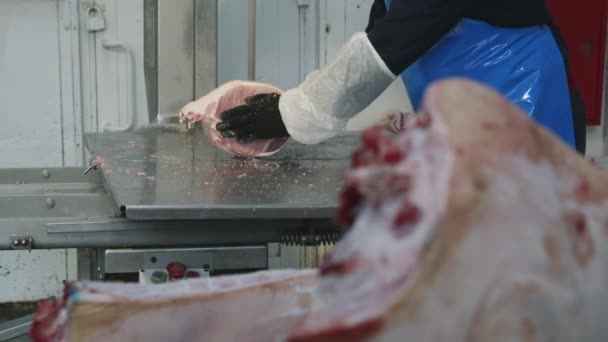 Carne congelada cruda pieza sierra industria de fábrica — Vídeo de stock