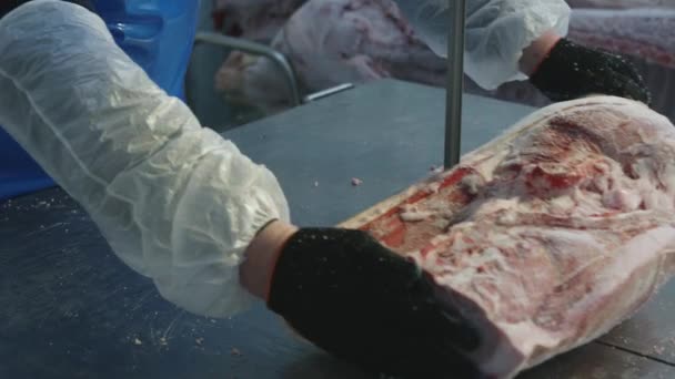 Carne congelada cruda pieza sierra industria de fábrica — Vídeo de stock