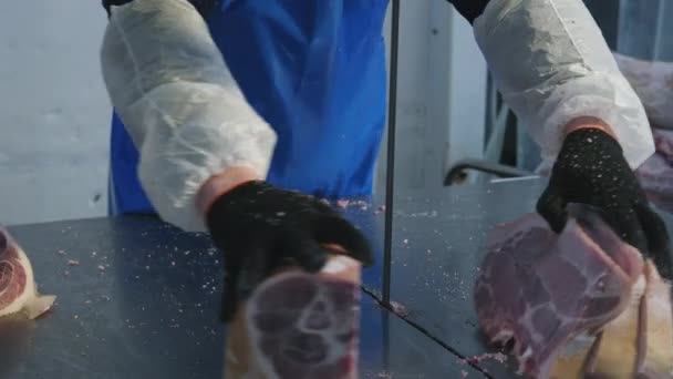Raw frozen meat piece saw factory industry — Stock Video