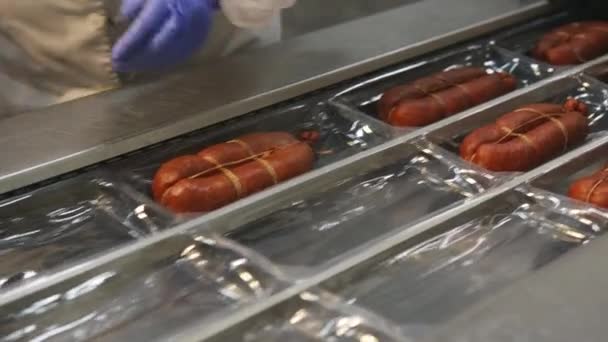 Wurstförderer Fleisch Fabrik Industrie Produktionslinie — Stockvideo