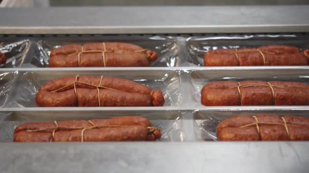 香肠输送机肉类制造厂生产线 — 图库视频影像