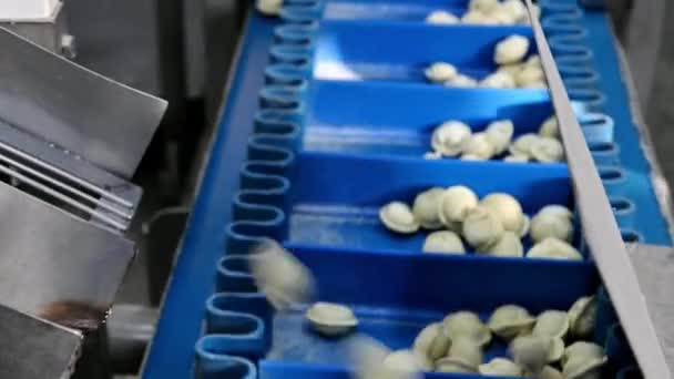 Hamur köftesi fabrikası işleme modern sanayi pelmeni — Stok video